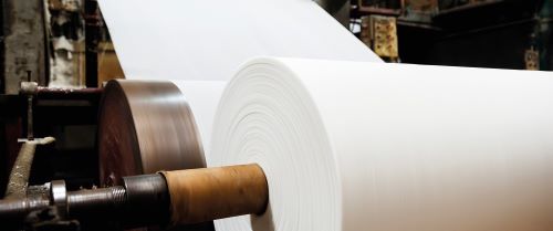 Papier- und Zellstoffindustrie 